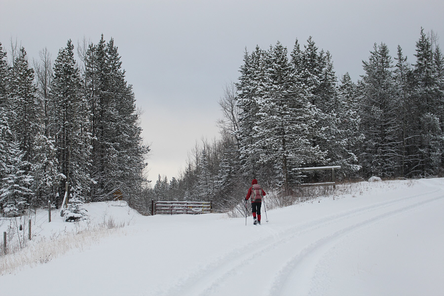 Sweet! We still don't have to break trail!