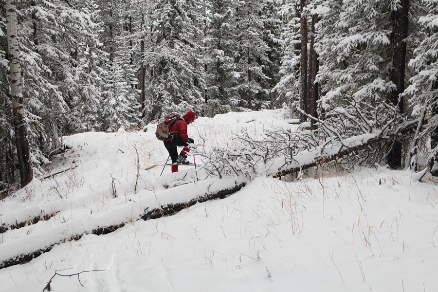 Why this is NOT destined to become a classic ski!