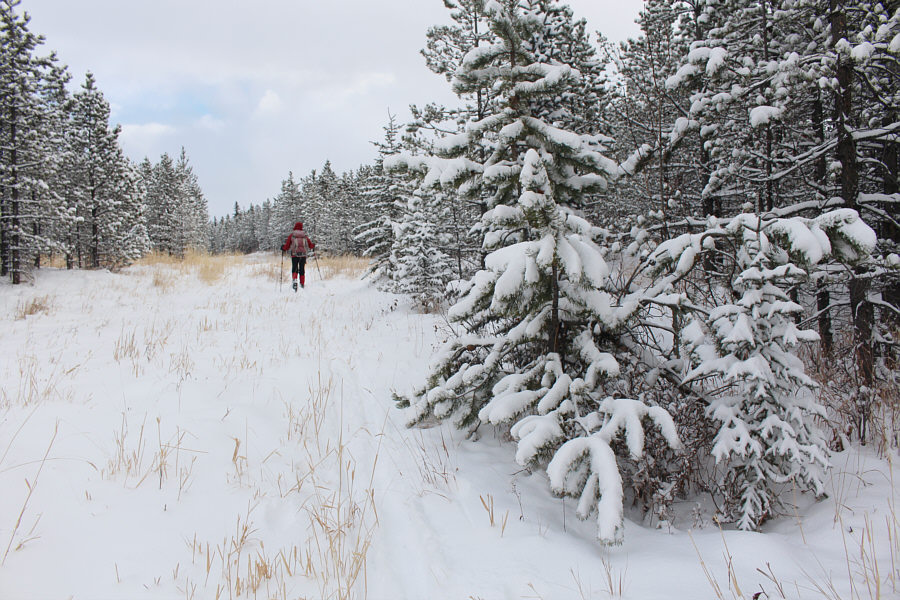 It's hard to believe this is even skiable now!