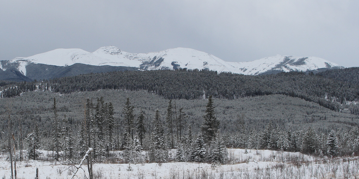 Who says there are no views on Pinetop Hill?