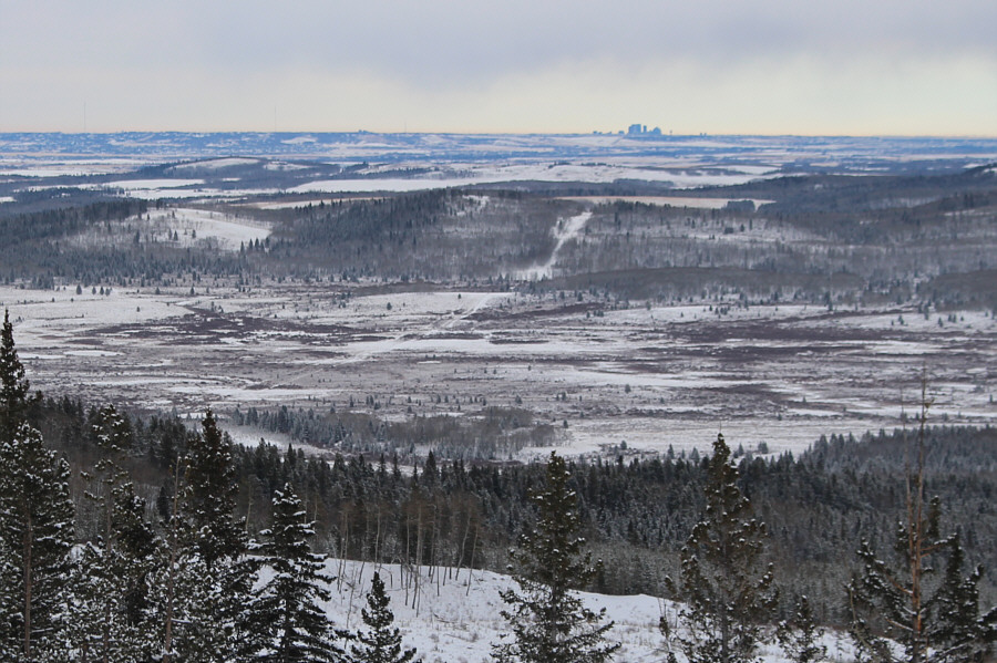 I think you can even make out the Calgary Tower!