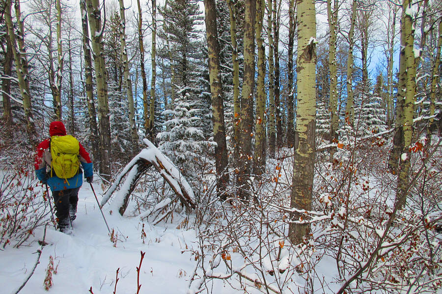 We did this so you wouldn't have to!