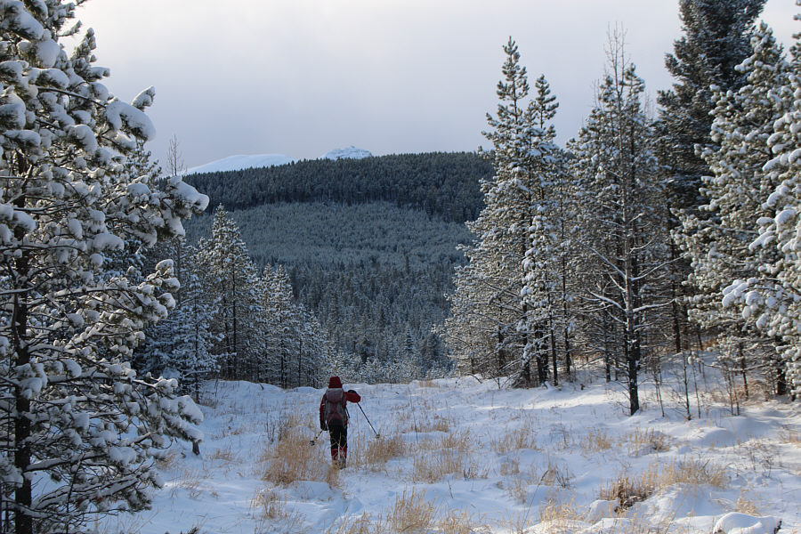 Looks like a mogul run here...