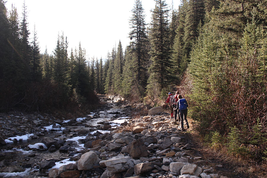 With snow, this would be so much nicer to ski!