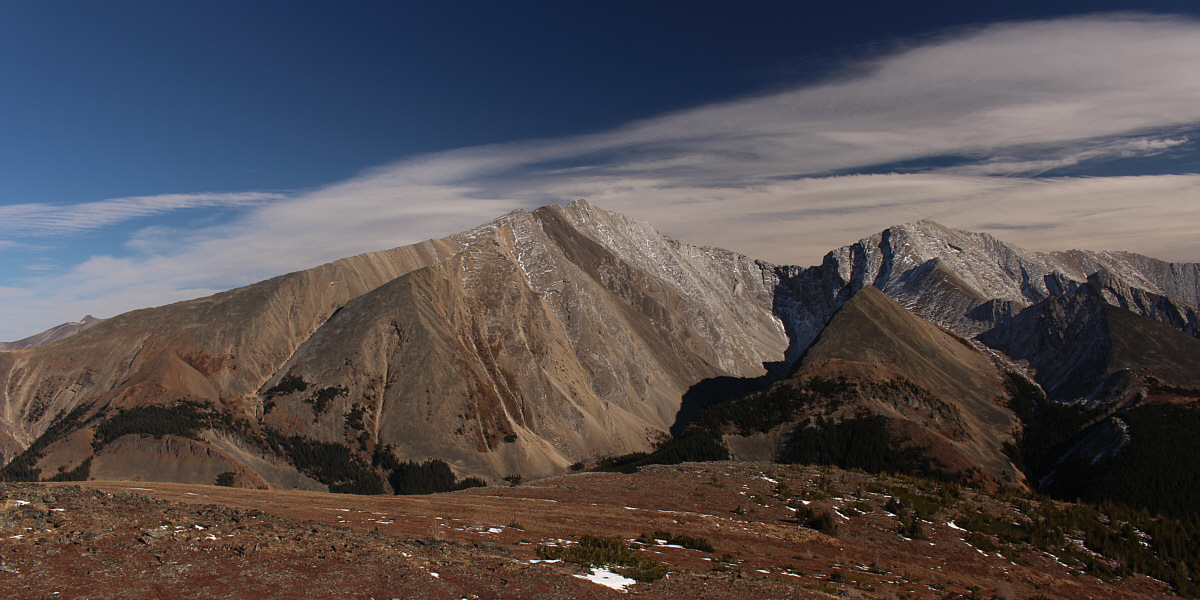 Don't look so black to me!