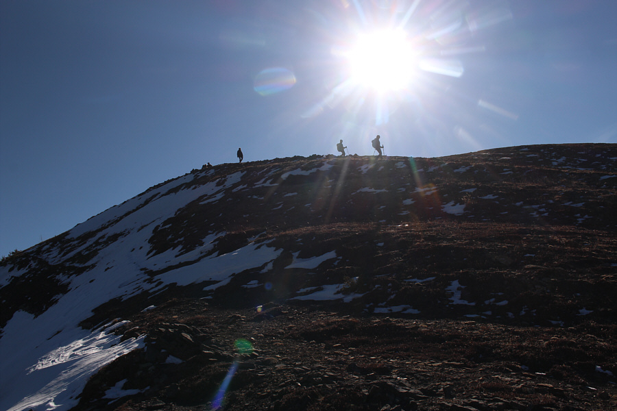 Gralu czy ci nie żal, gralu, wracaj do hal!