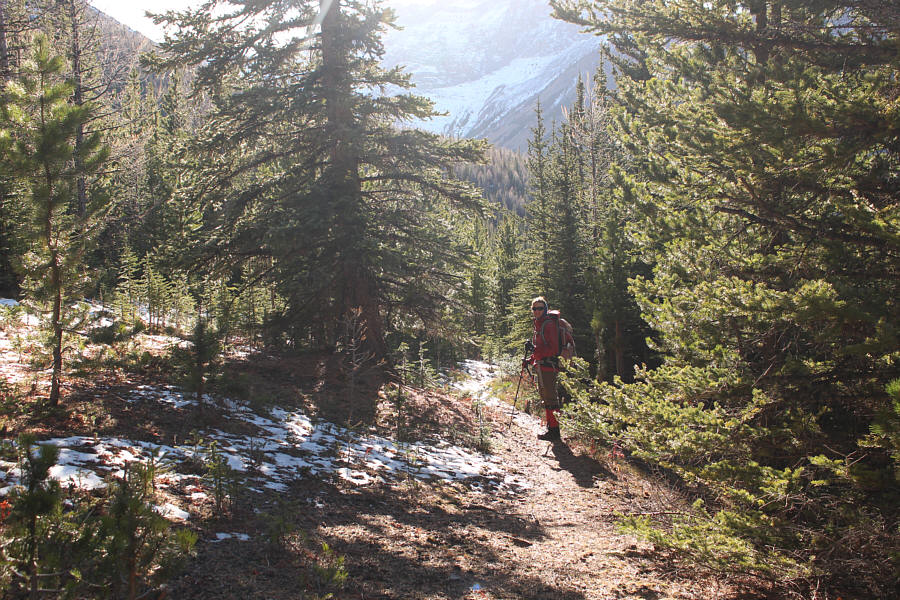 The Road Not Taken...but we took both and that has made all the difference!