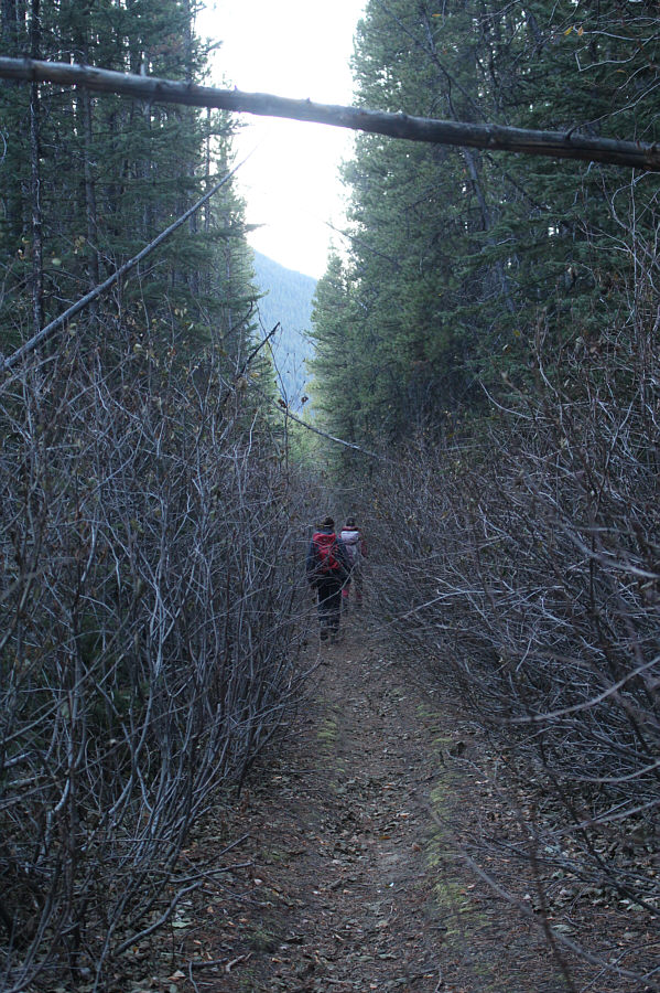 A bike, a bike! My kingdom for a bike!