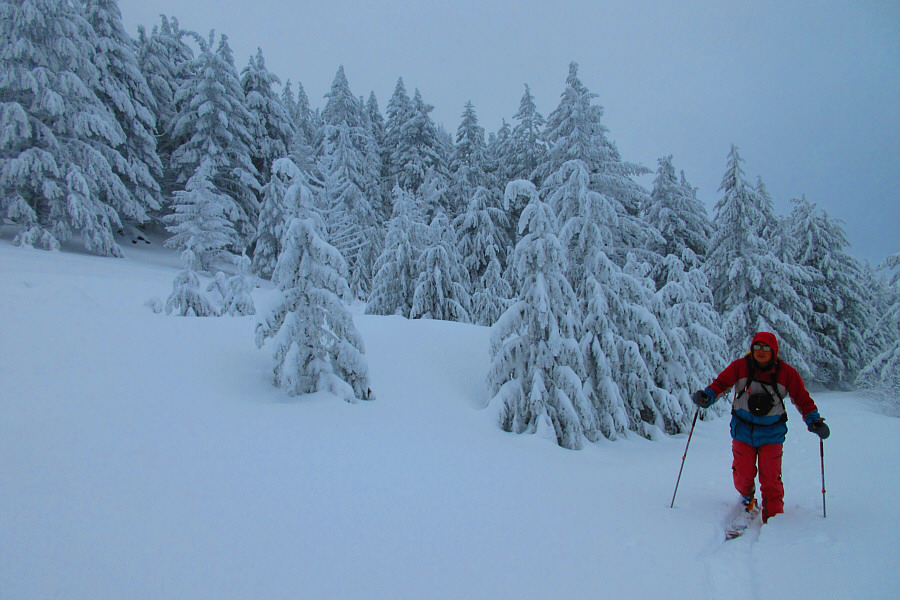 I wasn't expecting much of a view anyway!