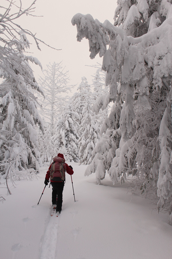 I would have turned around already and gone to a pub!