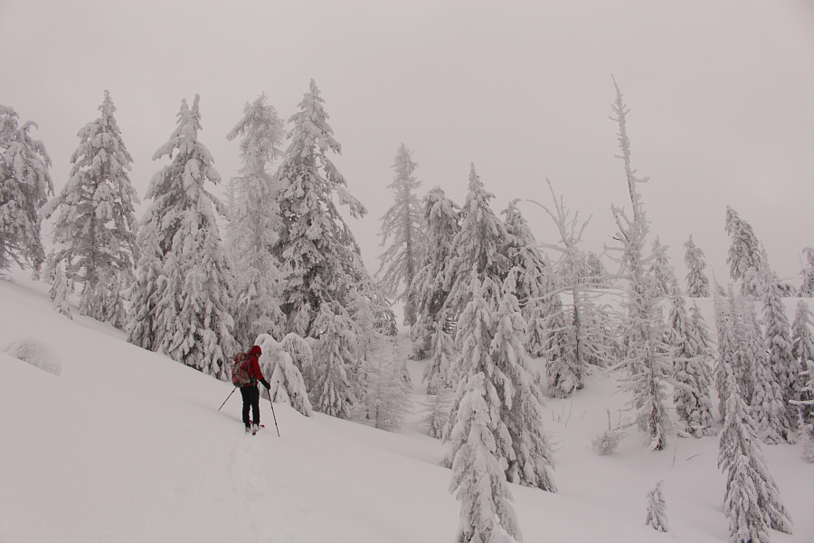 Avi danger is always a concern when backcountry skiing.