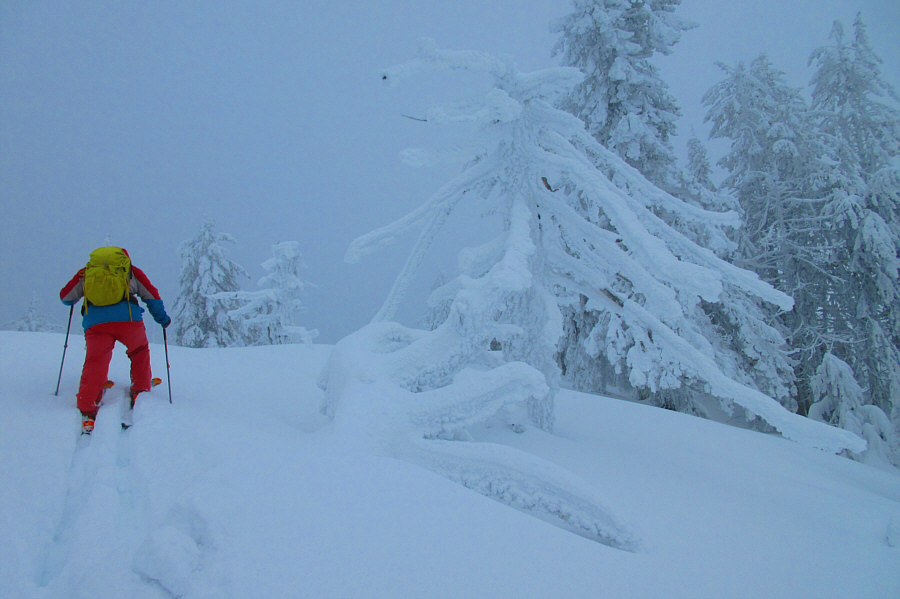 Looks kinda like a giant skeleton!