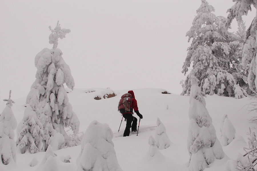 I think I'm just about done for the day!