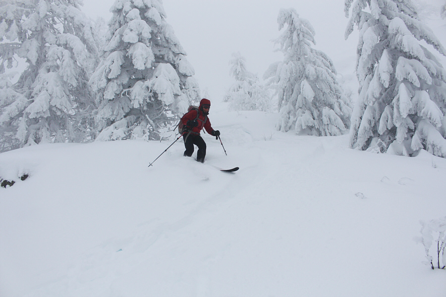 Surprisingly, there were still a few "sharks" here and there.