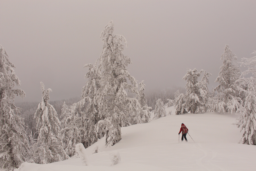 Embarrassingly, I did a face-plant here!