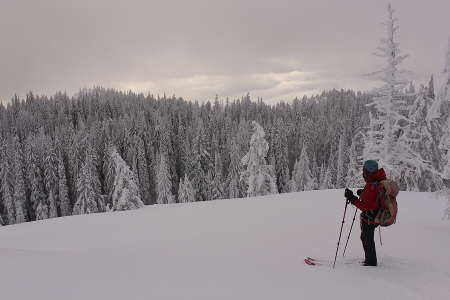 Watch for sharks on this slope!