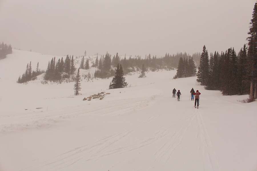 Well, it's a promising start...