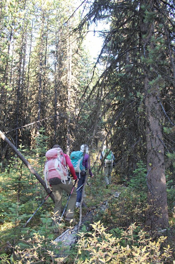 Not nearly as bad as North Kintla Creek!