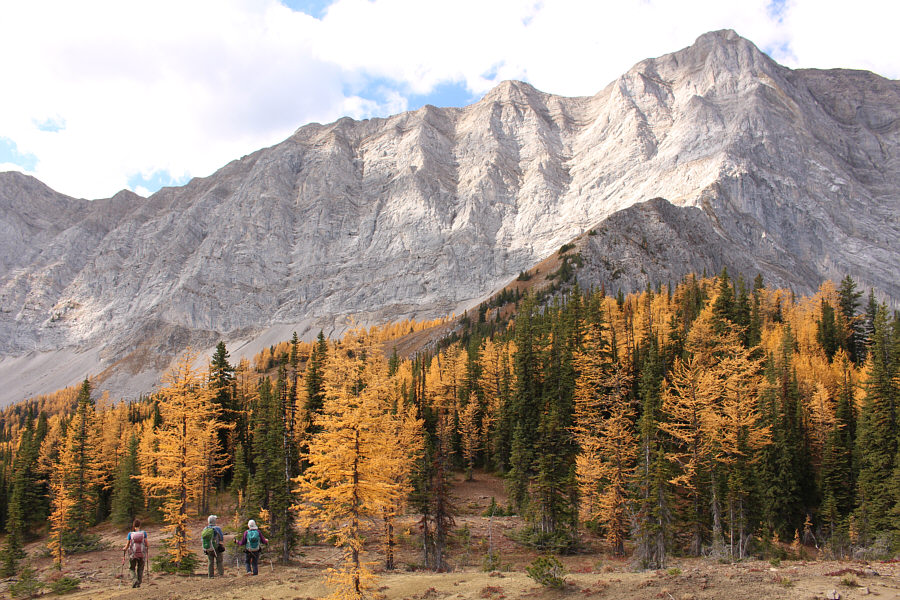 There's a hidden cliff band coming up...