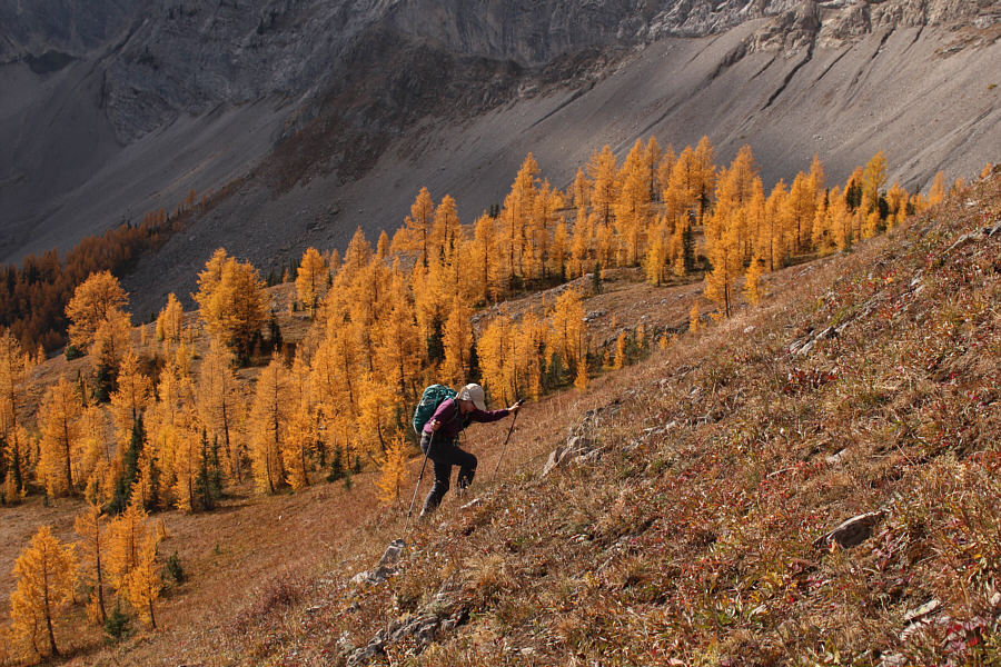 Not bad for a 63-year old grandma!