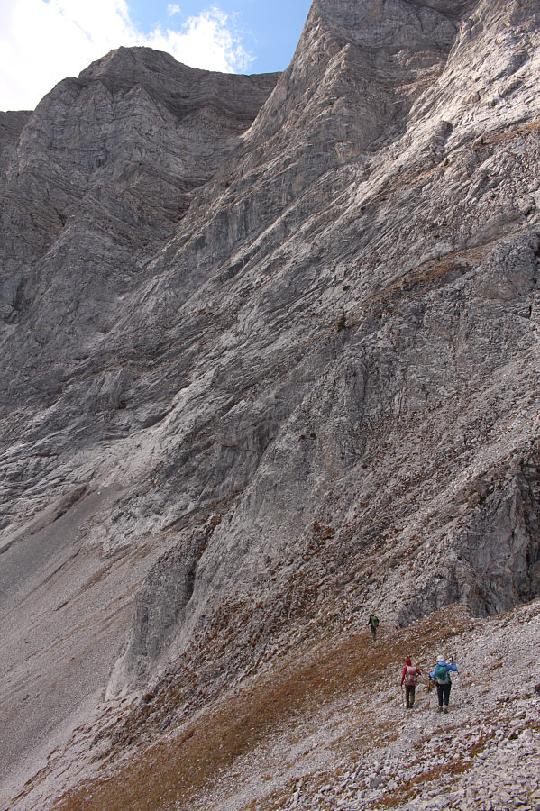 Don't worry, Dinah. We're not climbing any higher!