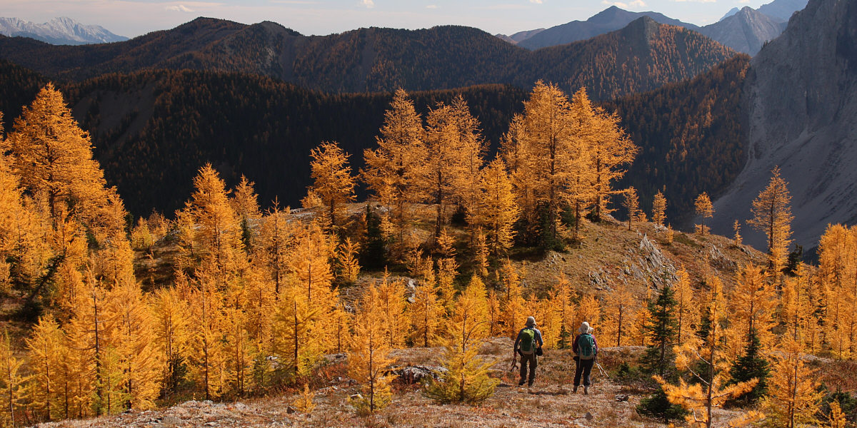 The best thing is that there is nobody else here!