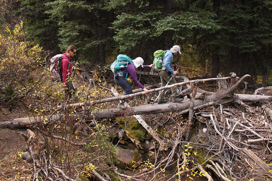 Dinah is making it look harder than it really is!