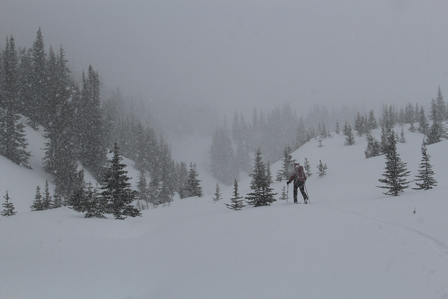 Hope we're going in the right direction!