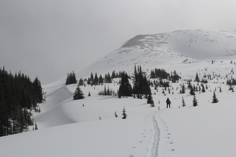Awesome ski touring possibilities here!