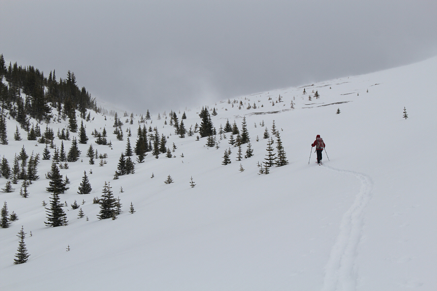 Very pleasant ski touring!