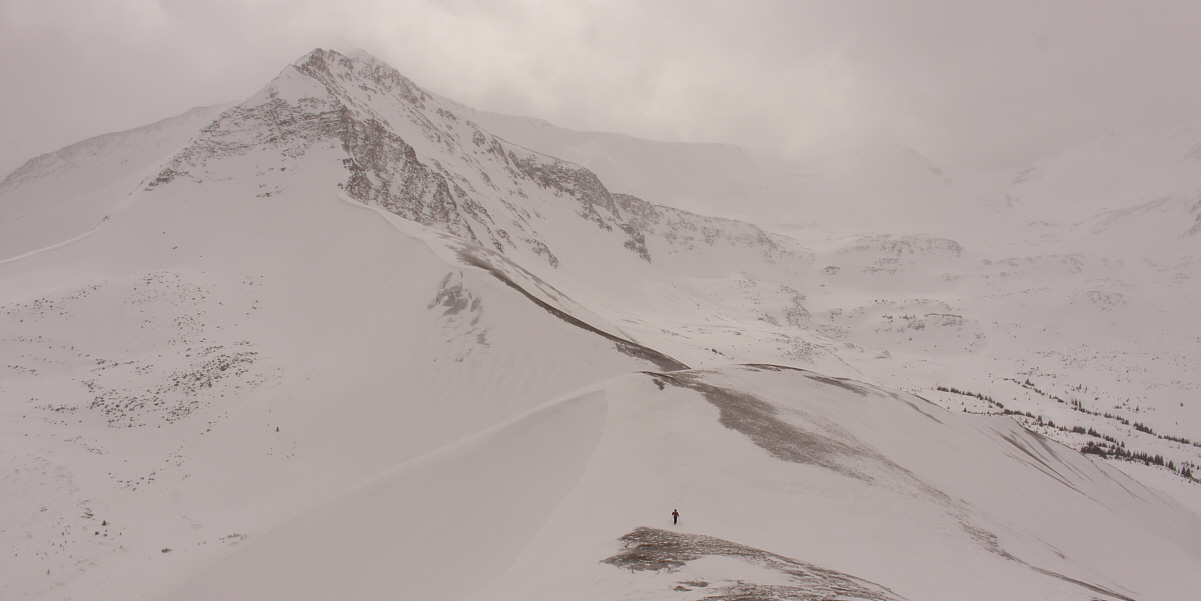 Still looks amazing under cloudy conditions!