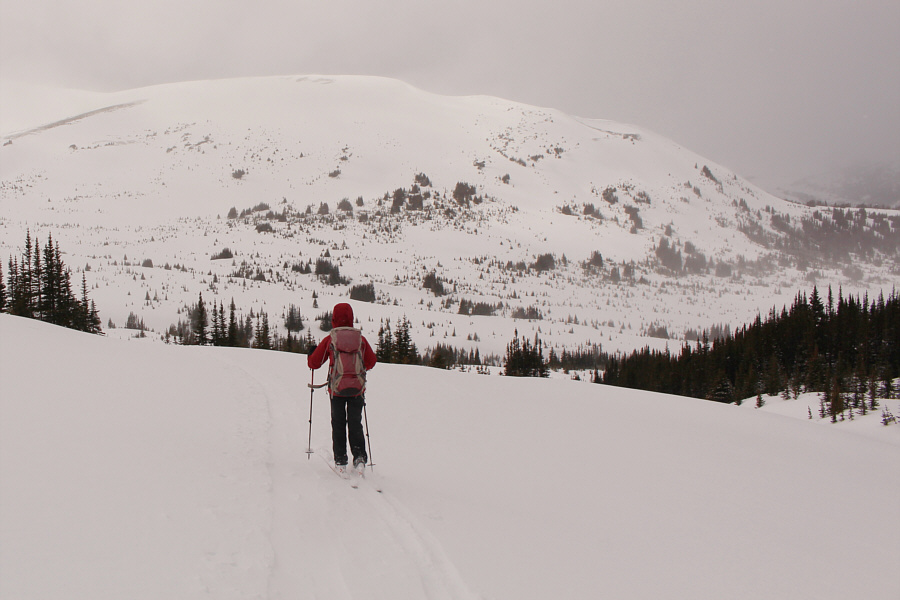 We may come back sooner than later...