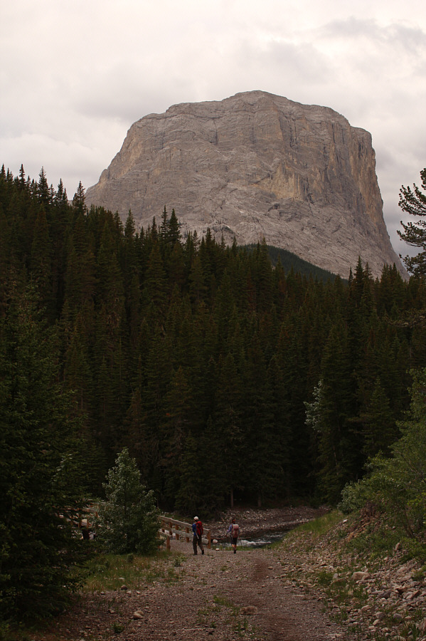 This means something. This is important.