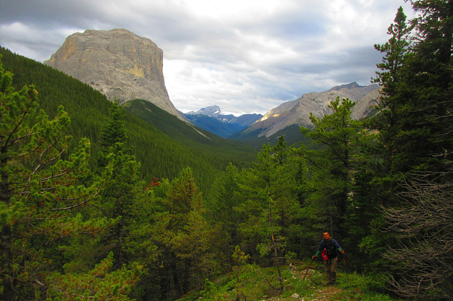 Unfortunately, we won't be coming back this way...