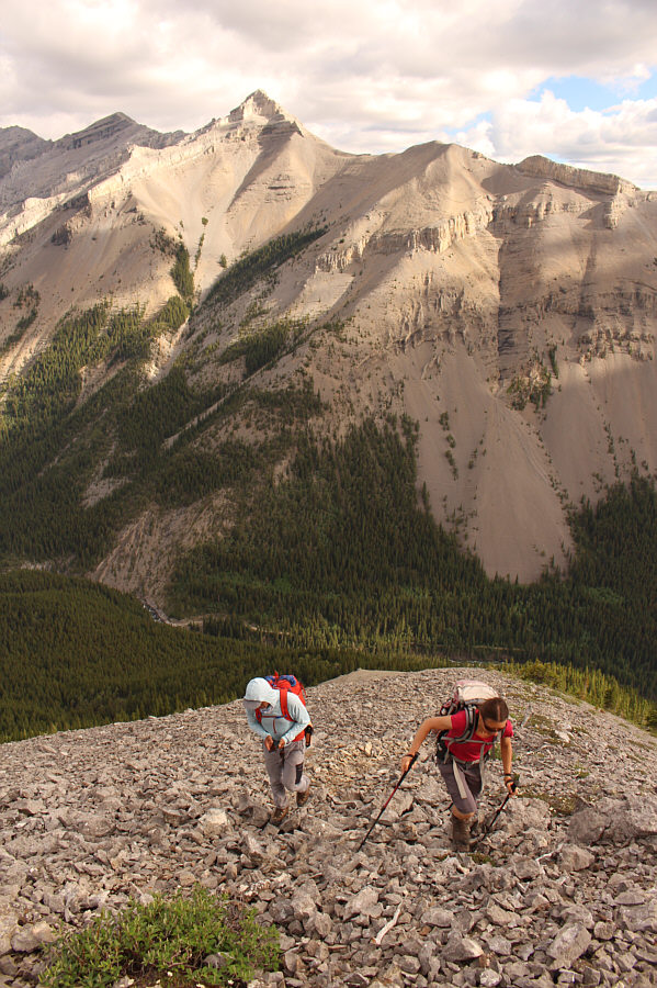 Look for fossils in the rocks here!