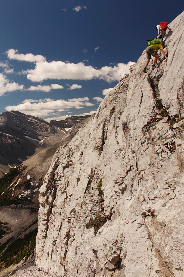 Yikes! Don't look down, Bert!