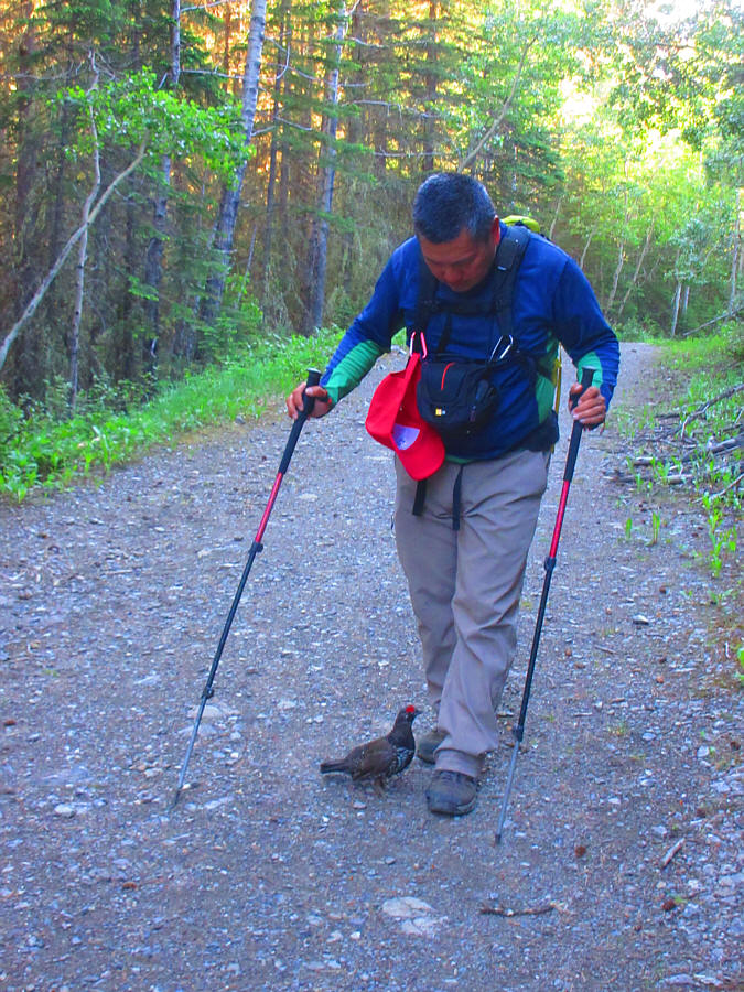 The little pecker thinks he's the Black Knight from Monty Python And The Holy Grail: "None shall pass!"