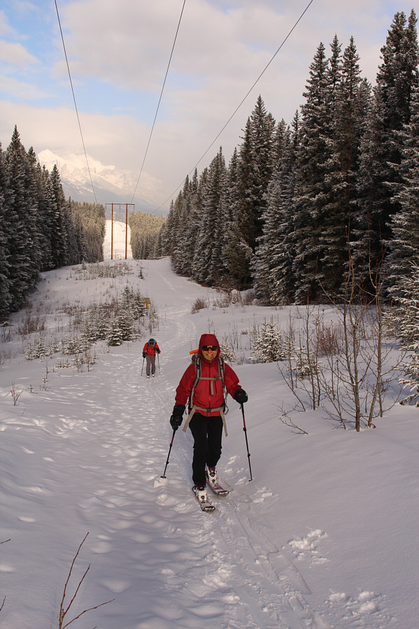 I feel sleepy already!