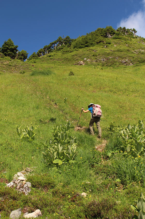 At least it's quick!