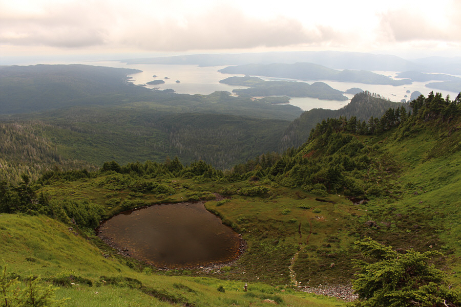 We can almost dive in from here!