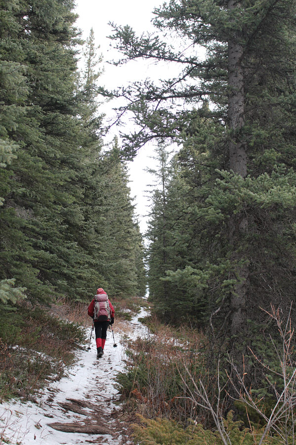 We're finally starting to climb for good.