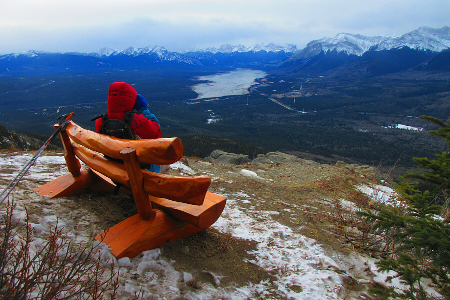 Brutally cold wind here!