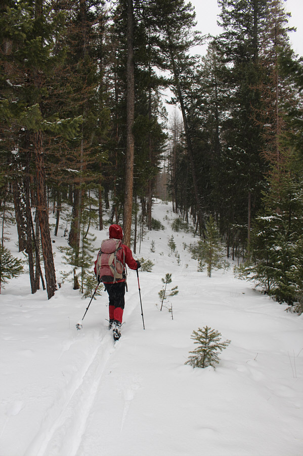 Not a popular trail it seems!