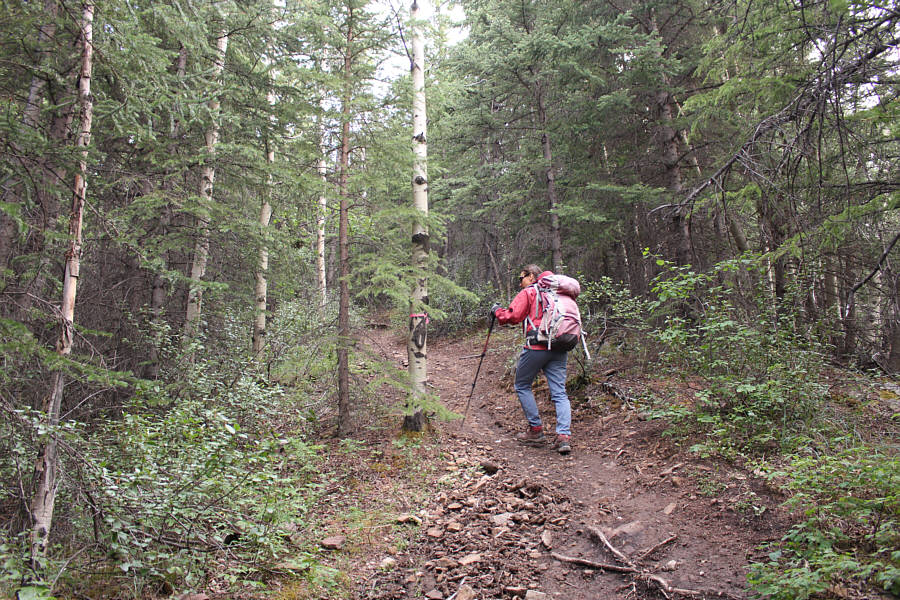 A good time for meditation or socializing!