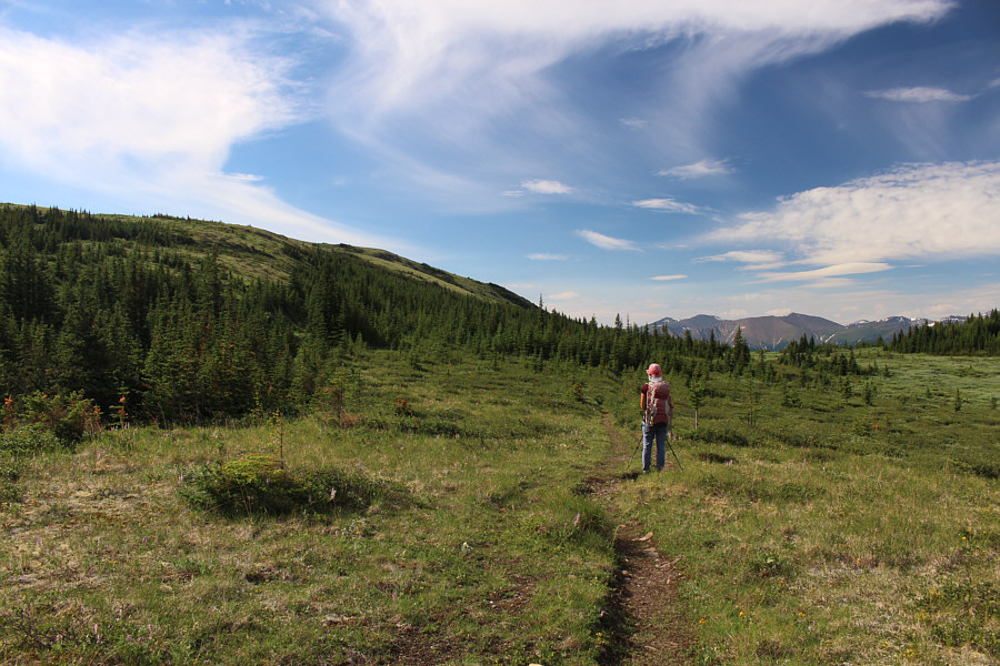 Possible swamp ahead, so it may be better to head left up the ridge now!
