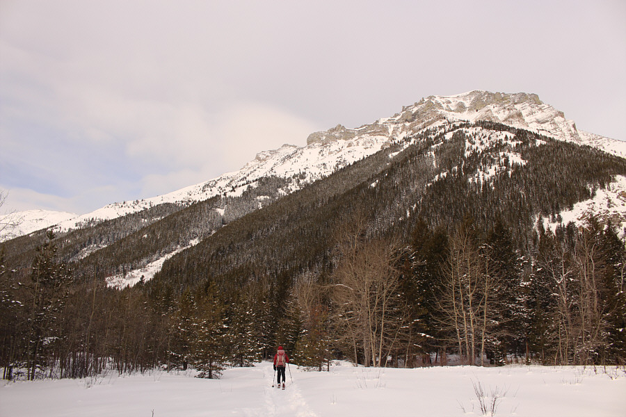 It's nice that it isn't -25 C for a change!