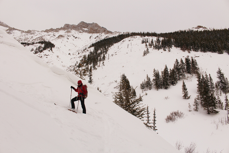 Who the hell thought it was a good idea to skin up this way??