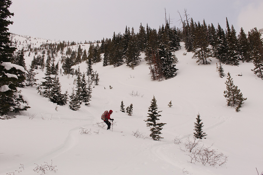 Good slalom practice!