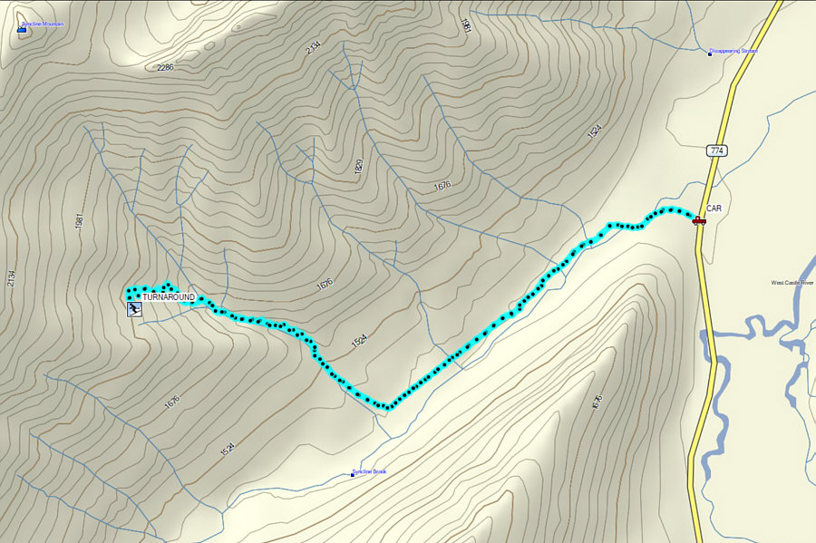 No summit today, but the skiing was fantastic.