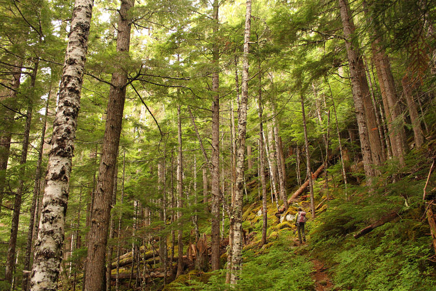 At least we're sheltered from the rain here!